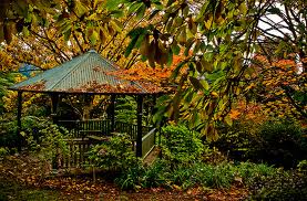 GEORGE_TINDALE_GARDENS